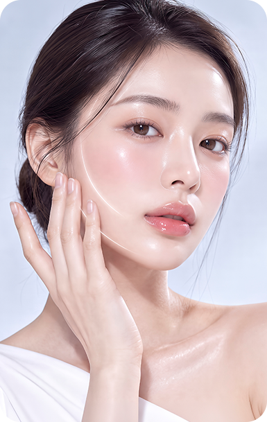 레이저 리프팅 프로그램 모델
