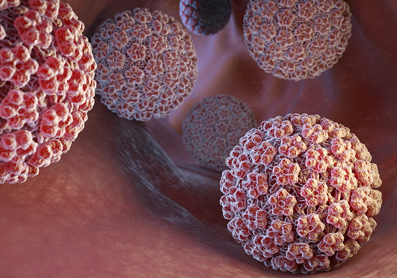 가다실 HPV 백신 바이알 이미지
